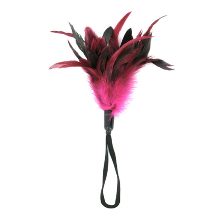 pleasure feather rose